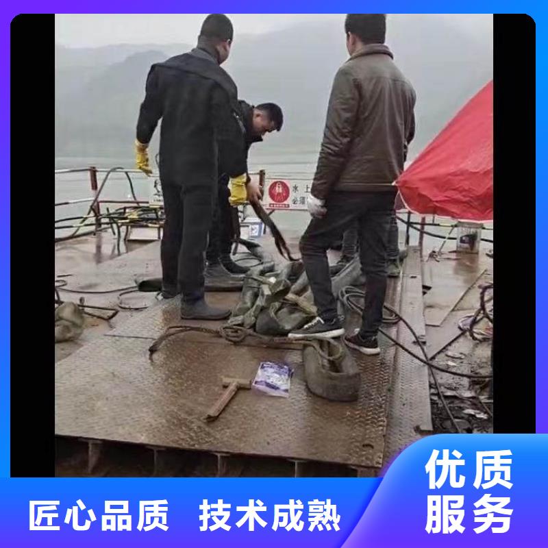 水上浮吊船堤防工程施工明码标价