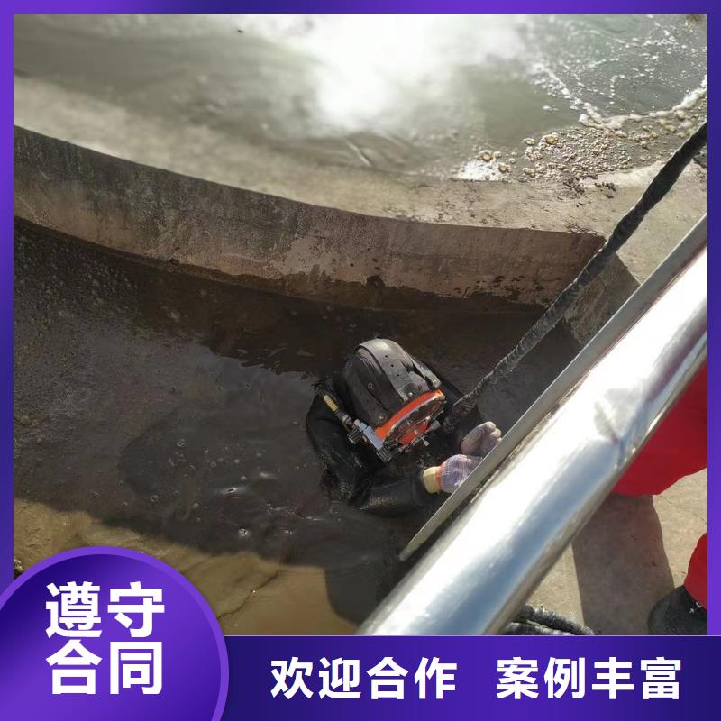 桥桩蛙人水下检查摄像公司价格品牌:东泓潜水工程公司