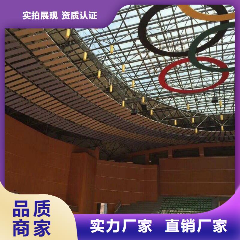 广东省汕头市岐山街道羽毛球馆体育馆吸音改造公司--2024最近方案/价格