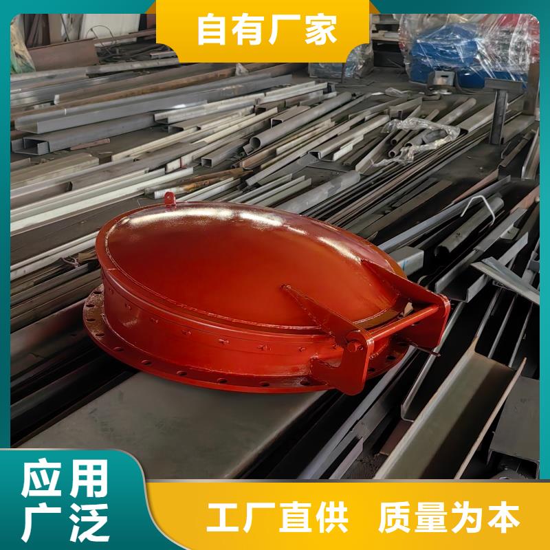 双开式拍门拍门上门安装厂家电话