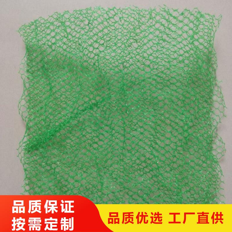 三维植被网塑料盲管厂家直发