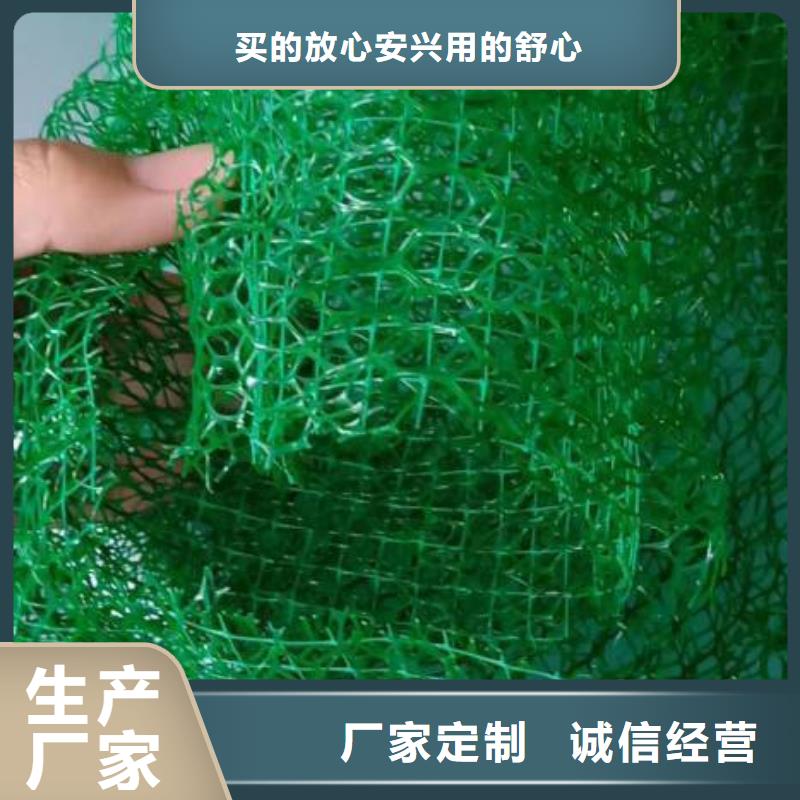 【三维植被网土工格栅您想要的我们都有】
