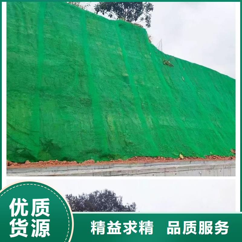 三维植被网塑料盲管厂家直发