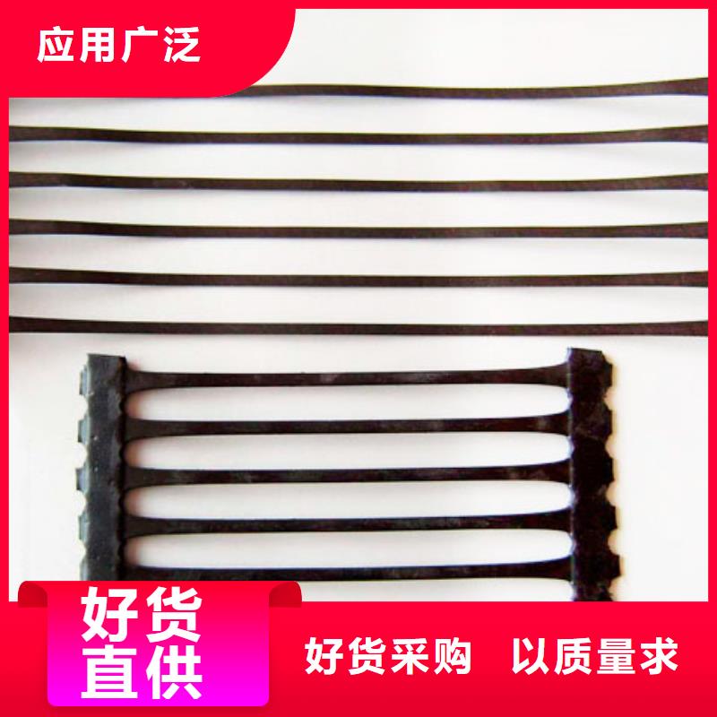 土工格栅图片欢迎咨询厂家