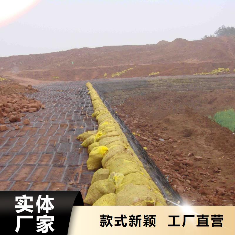 土工格栅规格价格优惠厂家