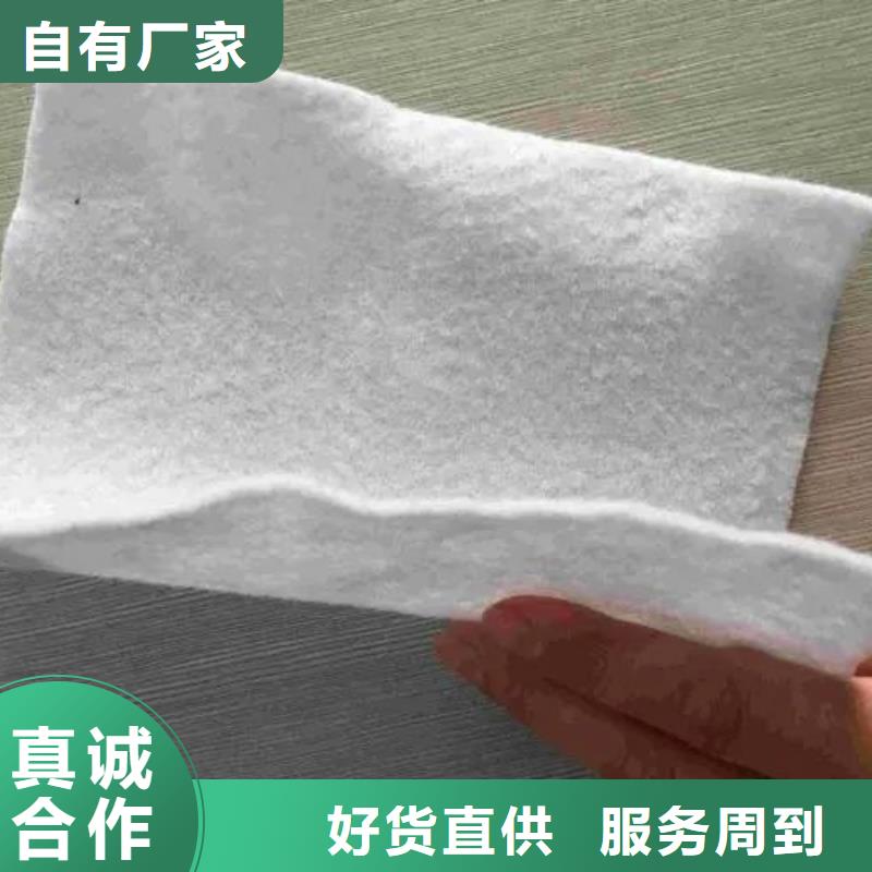 土工布单壁打孔波纹管批发价格