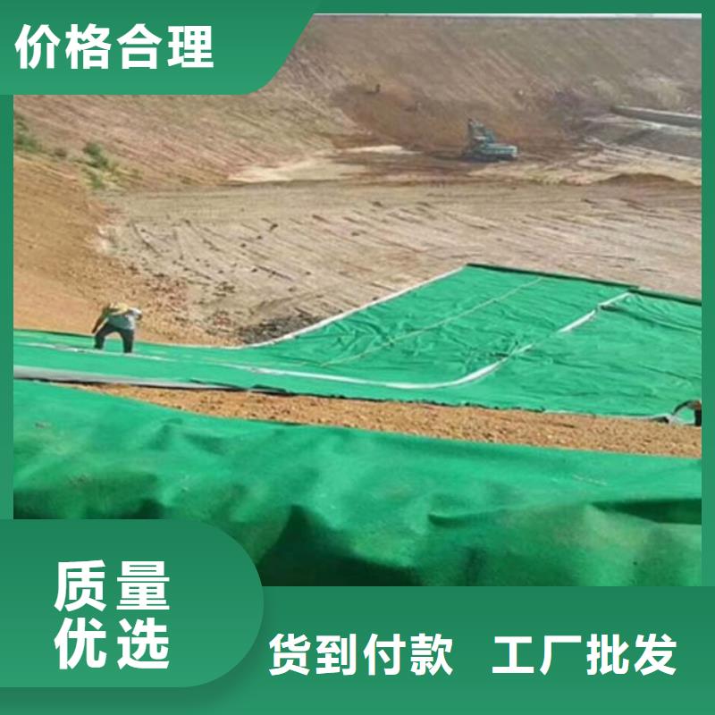 土工布止水铜片诚信商家