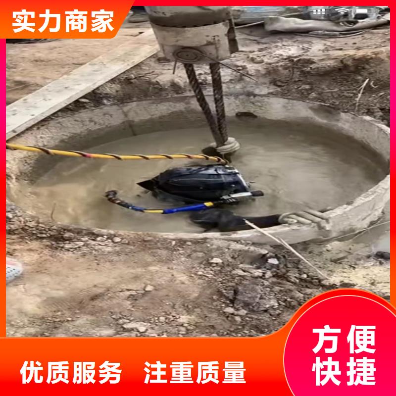 
桥梁桩基水下检测行情