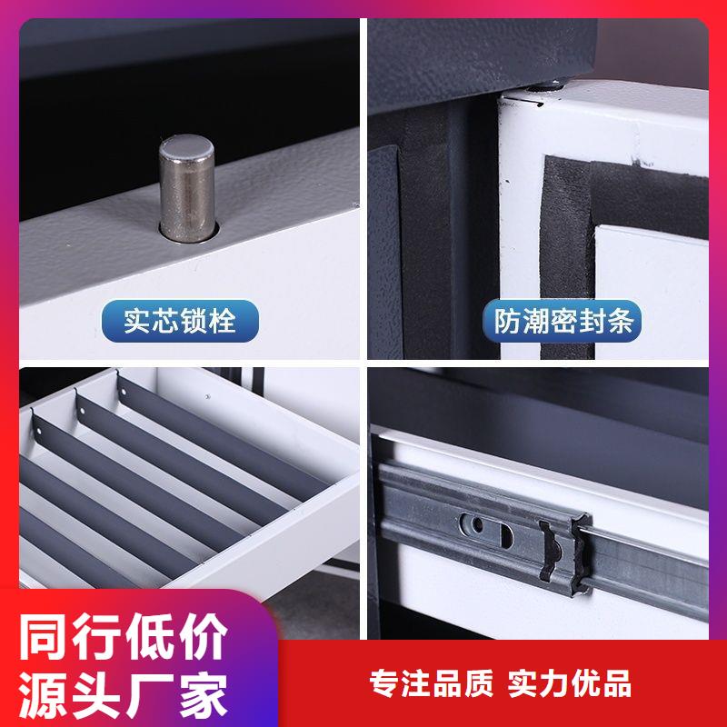 防磁柜,档案室资料柜实力商家供货稳定