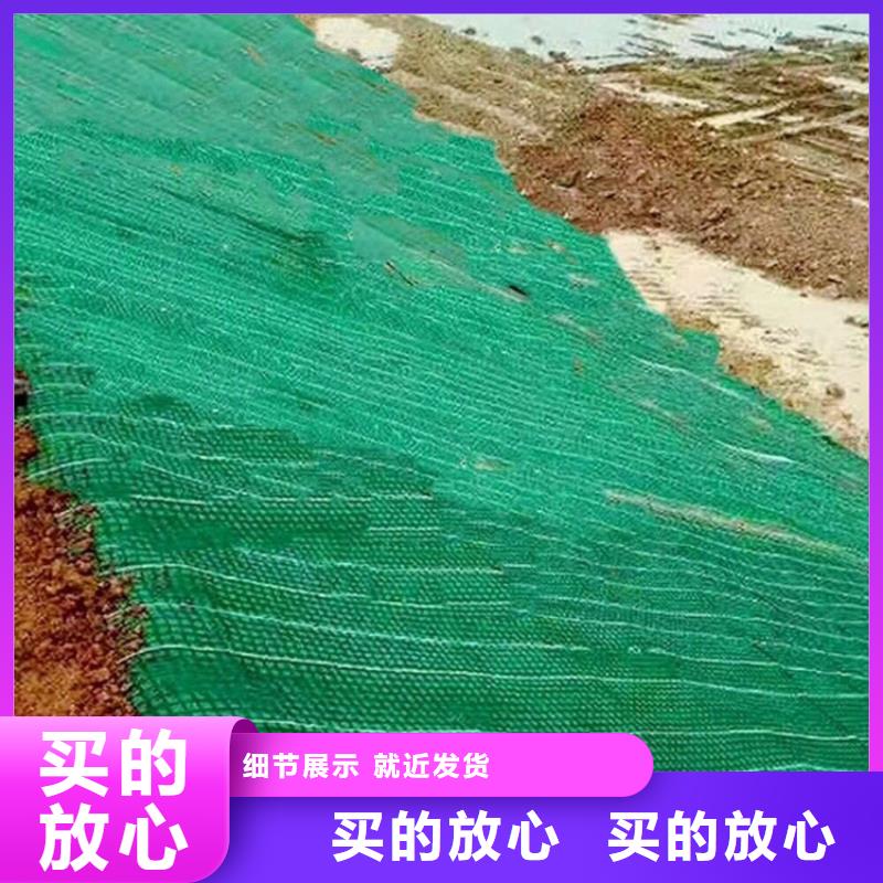 河道环保草毯-抗冲加筋生态毯