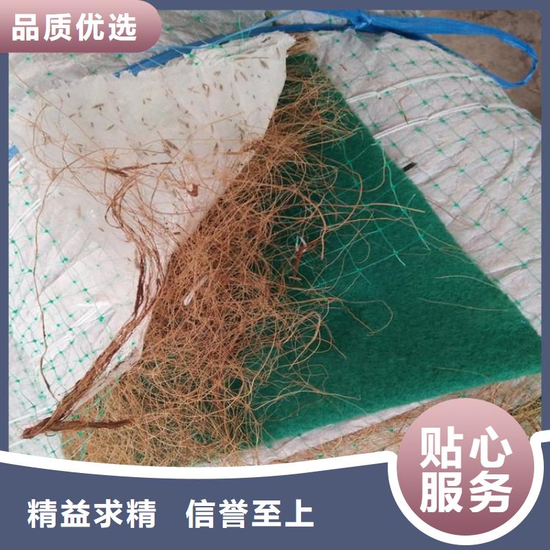 椰纤植生毯加筋抗冲生物毯厂家-质量可靠