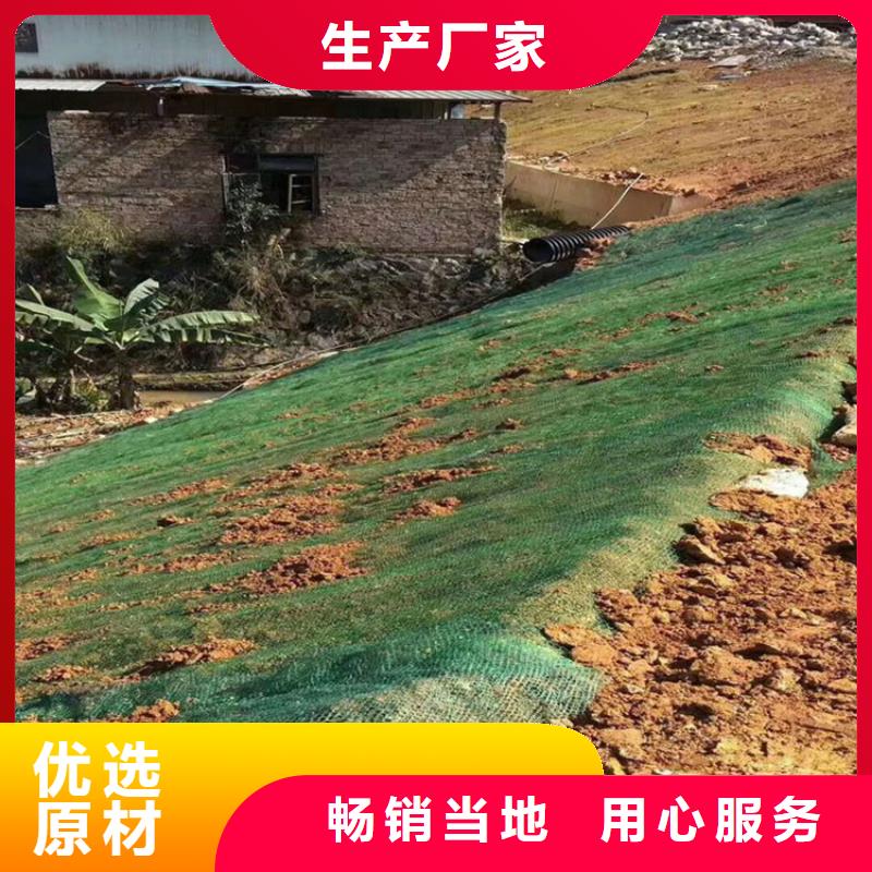 植物纤维毯-公路植生毯-椰丝护坡毯