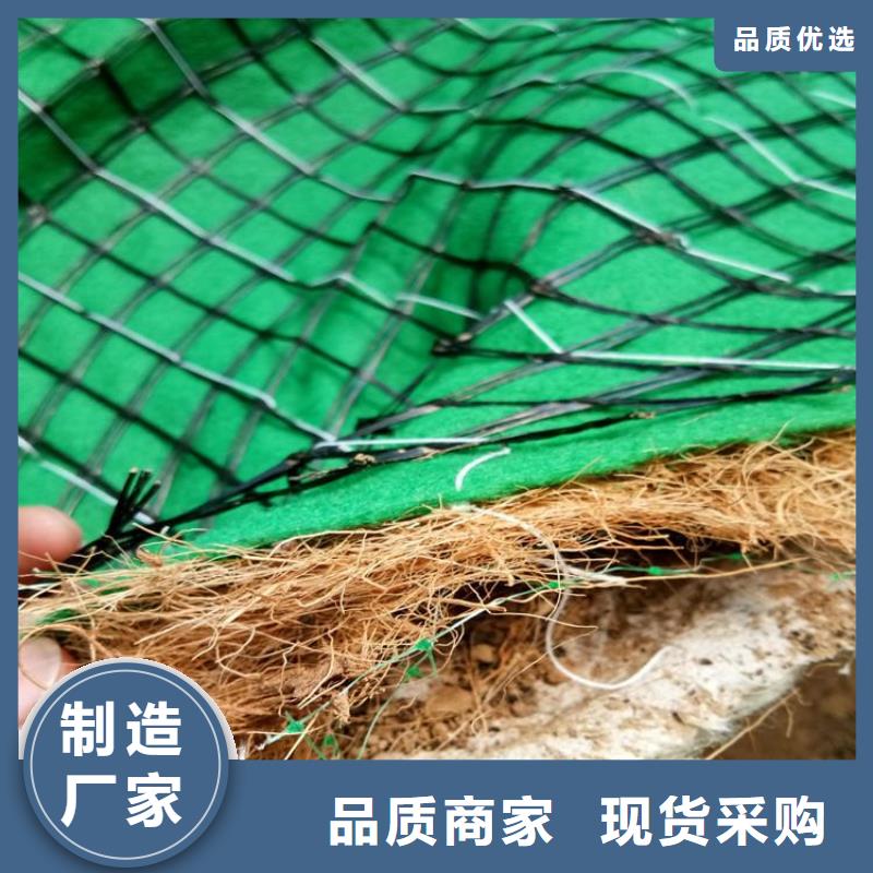 植生椰丝毯加筋抗冲生物毯哪里卖