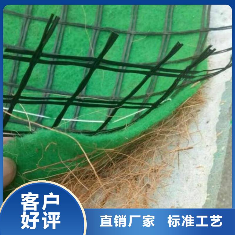 植生椰丝毯加筋抗冲生物毯哪里卖