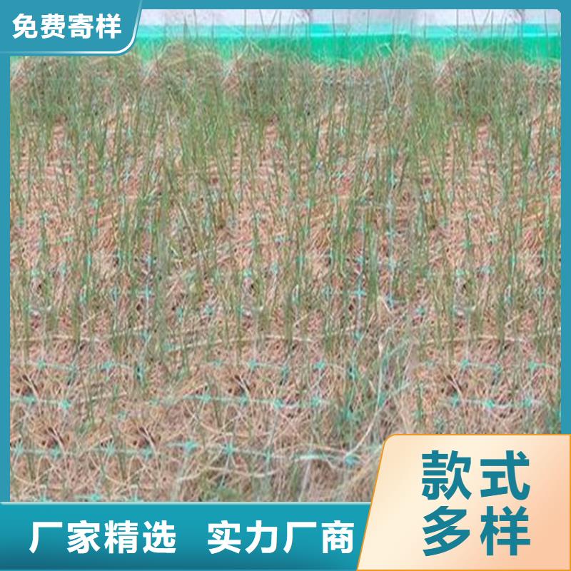 植生椰丝毯加筋抗冲生物毯