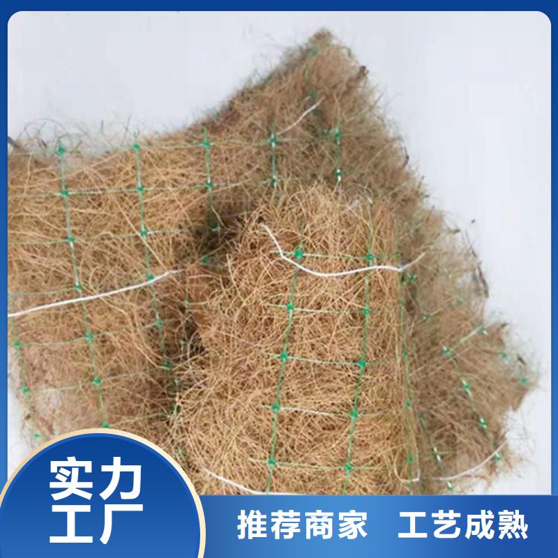 加筋抗冲生物毯-公路植生毯