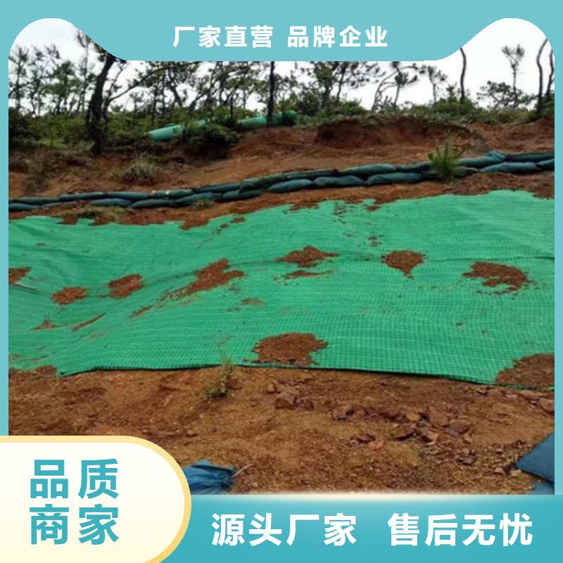 植物生态防护毯-植物绿化纤维毯