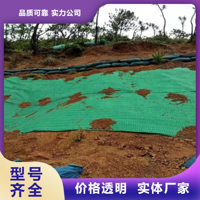 植生椰丝毯加筋抗冲生物毯哪里卖