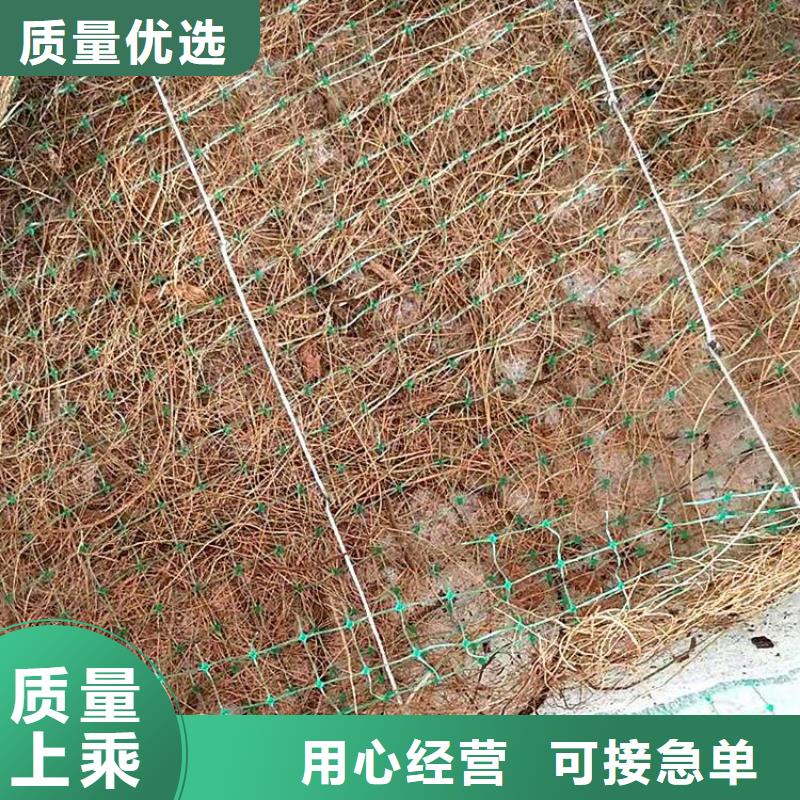 生态环保草毯加筋抗冲生物毯动态已更新