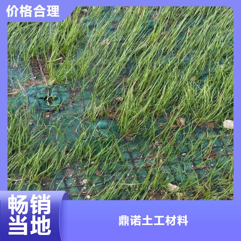 加筋抗冲生物毯-稻草纤维毯