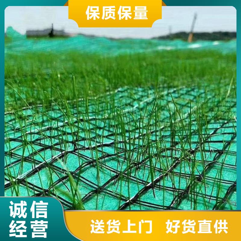 植物生态防护毯护坡植被植草毯公司