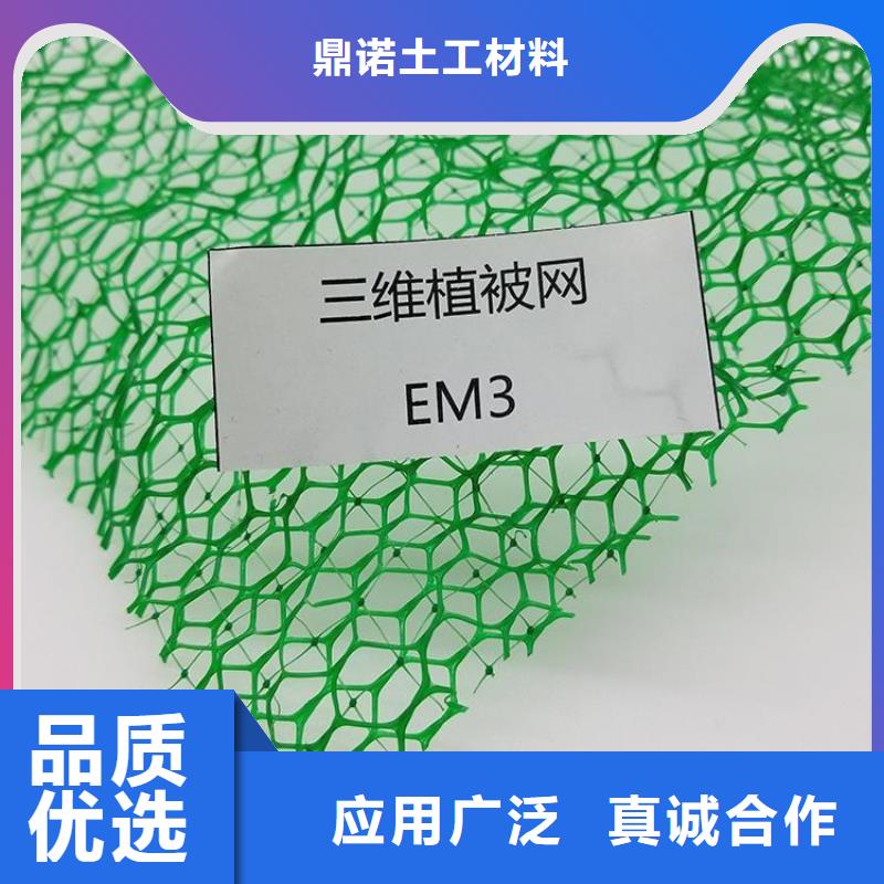 EM4三维固土网垫