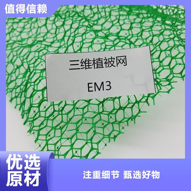 三维植被网-EM4三维护坡植草网垫