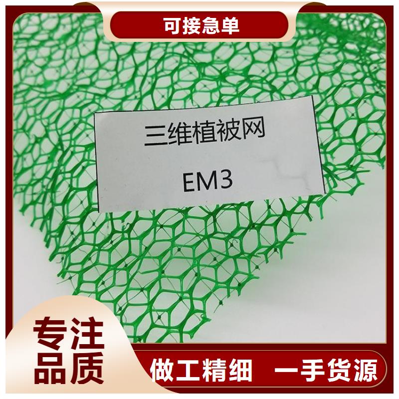 EM4三维固土网垫-边坡三维土工网垫