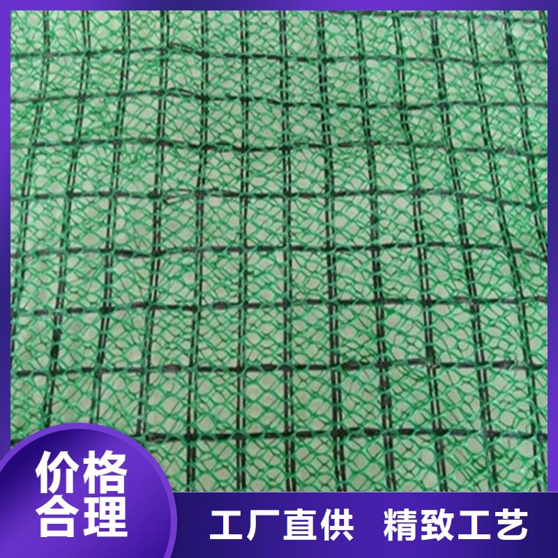 三维固土网垫绿化EM2