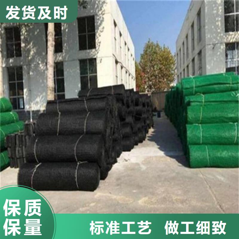 三维植被网土工膜厂家直销规格多样