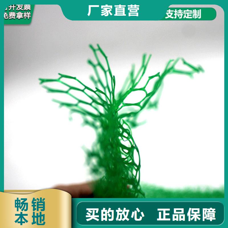 三维植草网垫护坡绿化