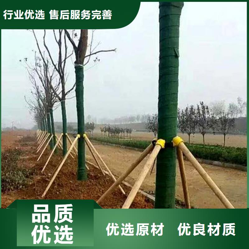 裹树布【玻纤土工格栅】专业品质