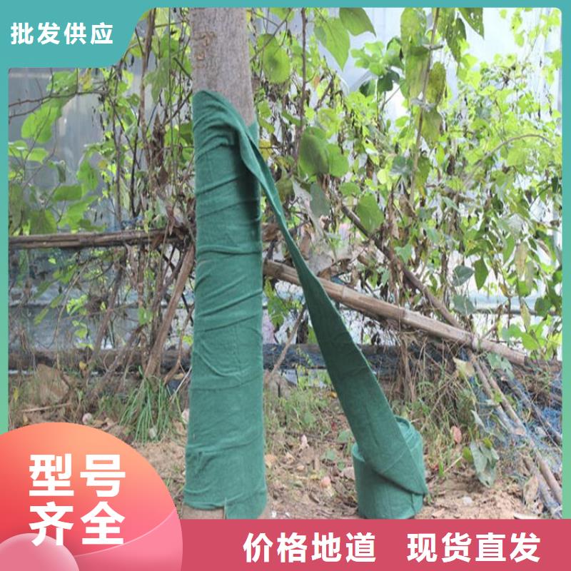 裹树布【玻纤土工格栅】专业品质