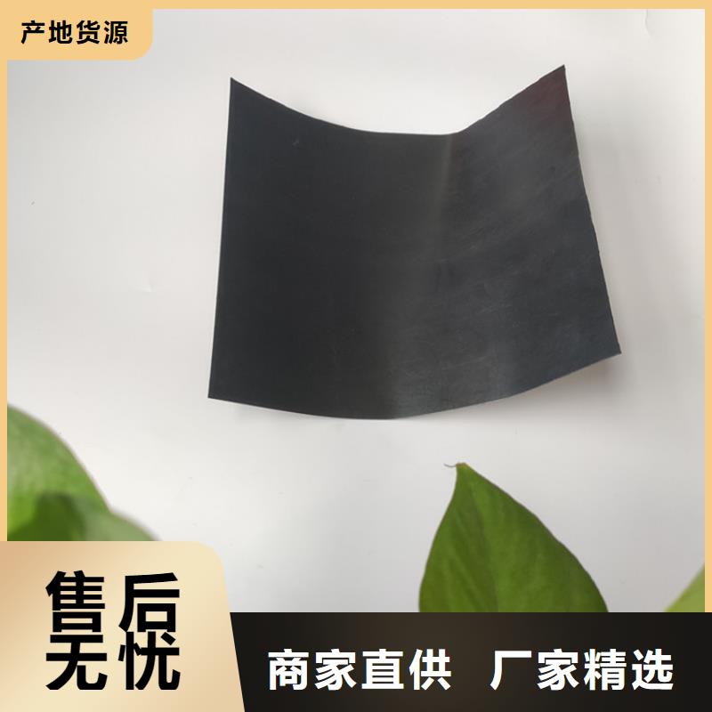 土工膜钢塑土工格栅优良材质