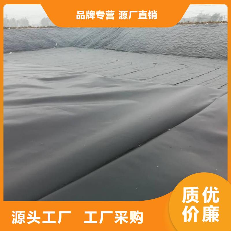 土工膜【土工格栅】实体厂家支持定制