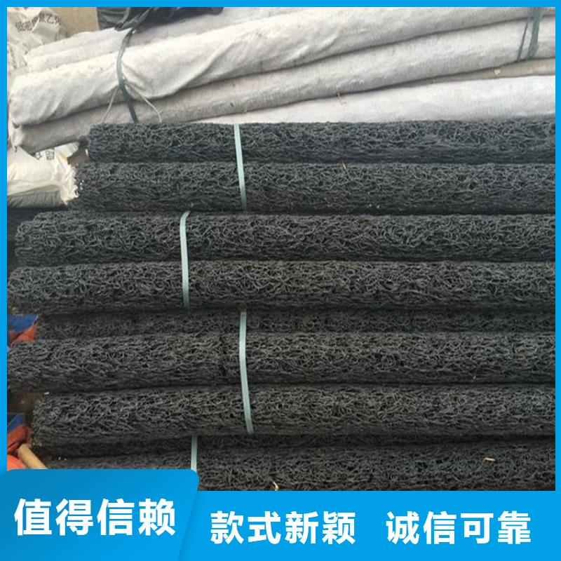 塑料盲沟玻纤土工格栅专业厂家