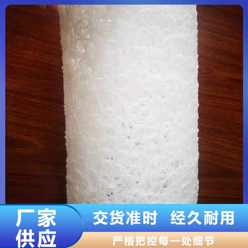 塑料盲沟玻纤土工格栅专业厂家