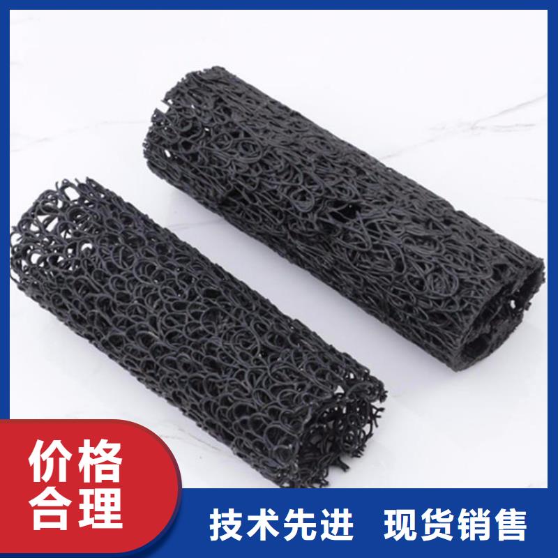 塑料盲沟玻纤土工格栅专业厂家