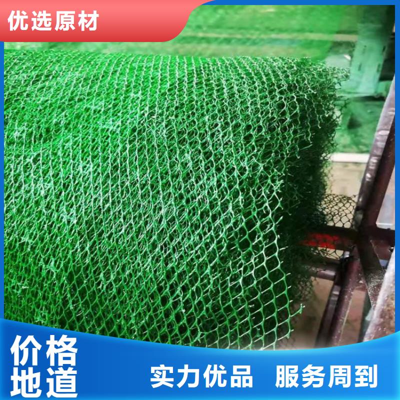 三维植被网防渗膜多种场景适用