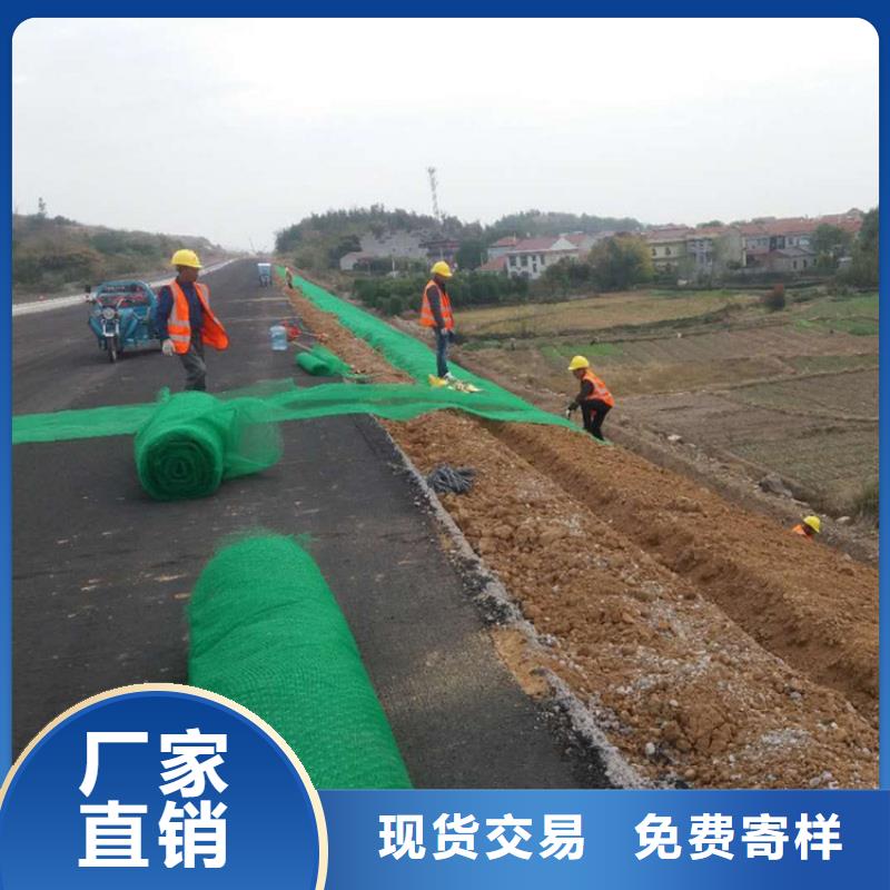 三维植被网防渗膜多种场景适用