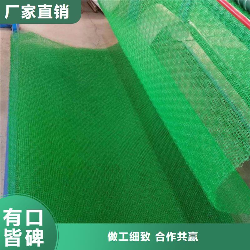 三维植被网防渗膜多种场景适用