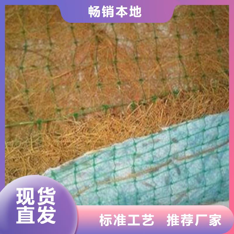 加筋复合环保草毯-植草椰丝毯