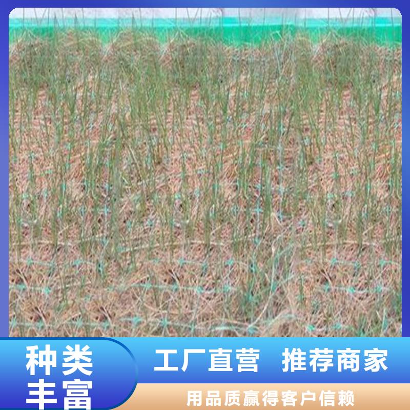 植物生态防护毯厂家市场代理