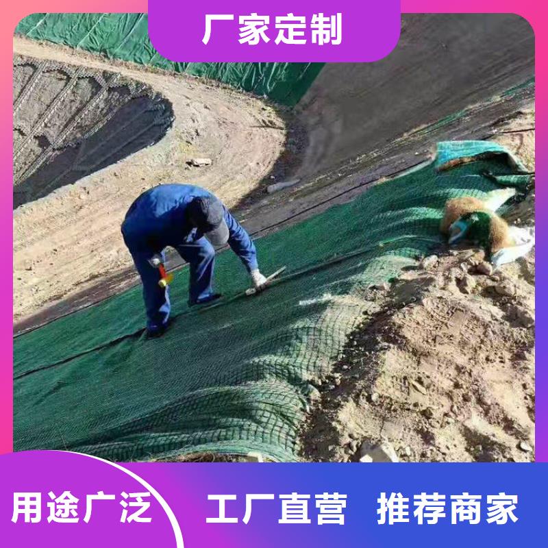 河道护坡植生毯环保植草毯