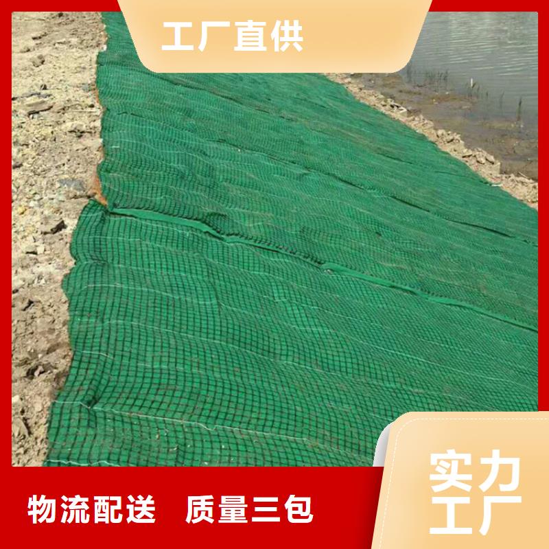 植物生态防护毯-加筋椰丝毯