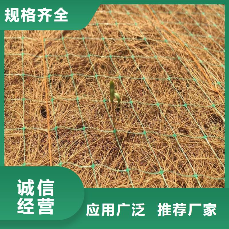 植生椰丝毯-加筋抗冲生态毯-生态毯