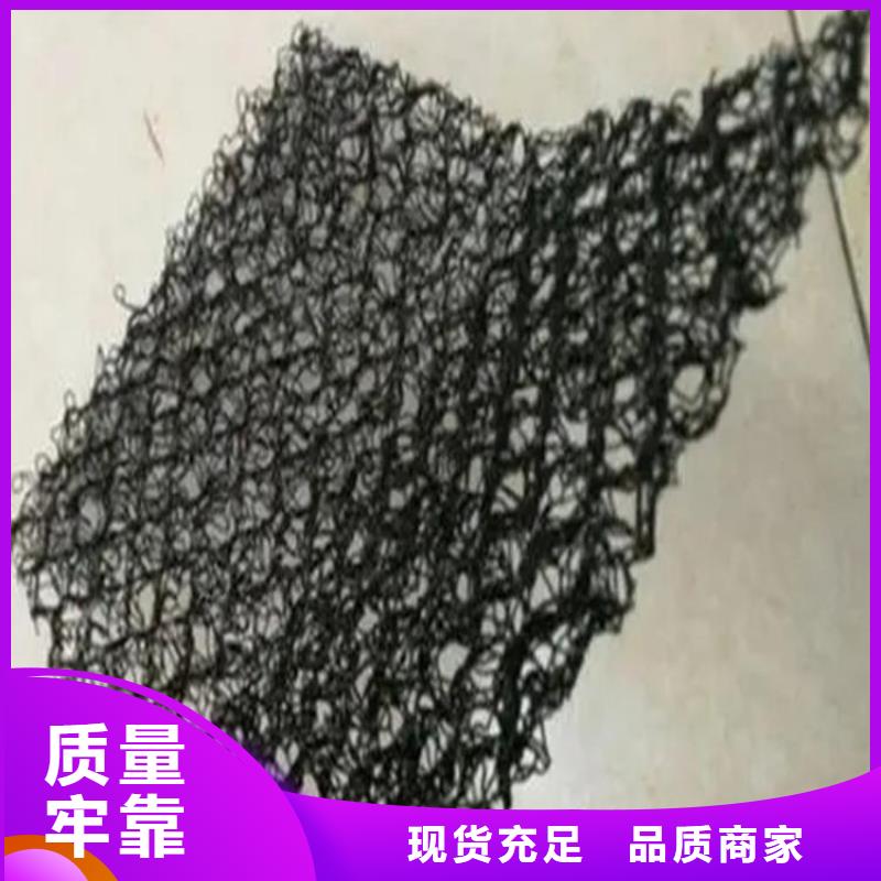 水土保护毯土工格栅用途广泛