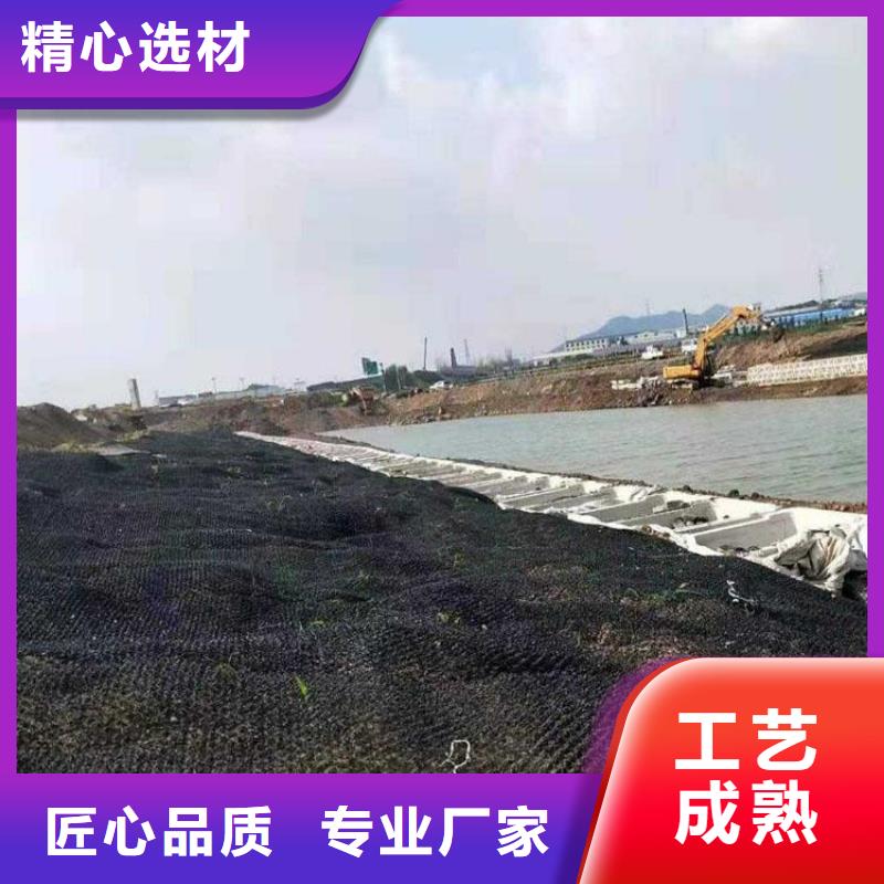 水土保护毯土工格栅用途广泛