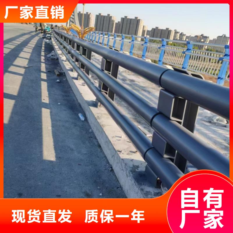 道路防撞护栏常年现货