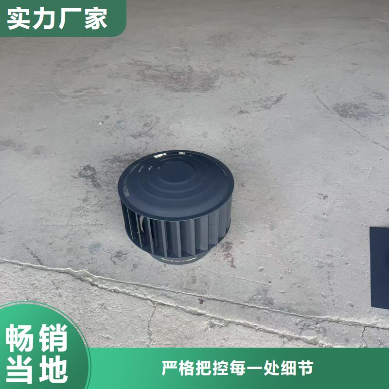 县全能无动力排气风帽实力老厂